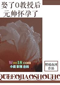 娶了o教授后元帅怀孕了txt宝书网