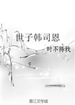 世子韩司恩讲的什么故事