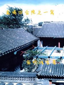 魔刀风云